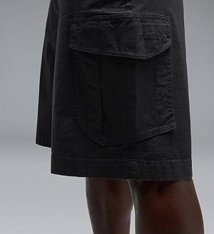 OAKLEY All Day Cargo Short