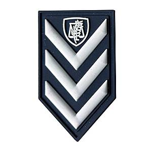 Βαθμοί αστυνομίας 3D πέτου με Velcro (ζευγάρι)